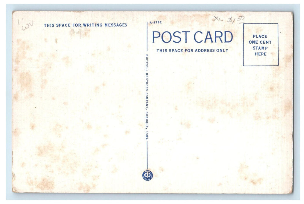 c1930's Riverside View of Eagle Point Park, Dubuque Iowa IA Steamer Postcard