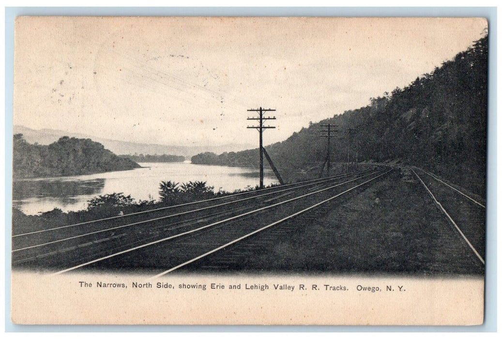 1908 Narrows North Side Erie Lehigh Valley Railroad Owego New York NY Postcard