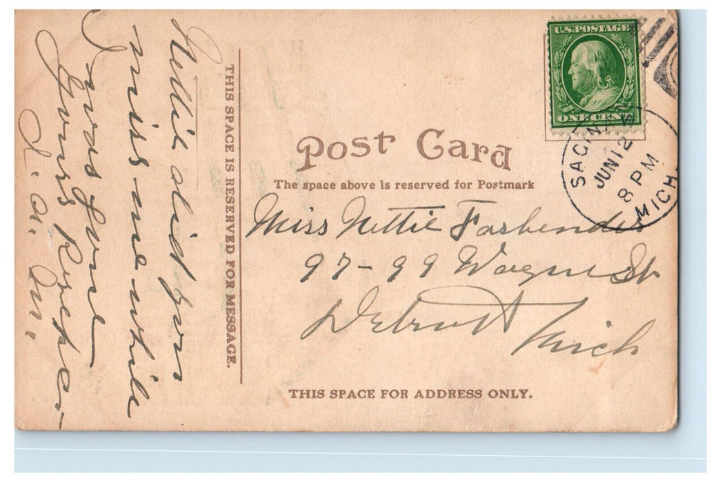 c1910 Horse Carriage Hotel Vincent, Hotel Flag, Saginaw Michigan MI Postcard