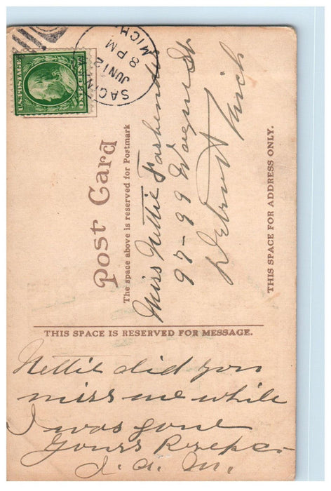 c1910 Horse Carriage Hotel Vincent, Hotel Flag, Saginaw Michigan MI Postcard