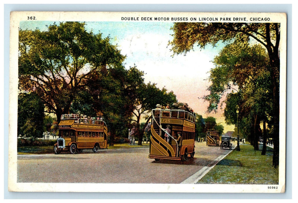 1928 Double Deck Motor Busses on Lincoln Park Drive Chicago IL Postcard