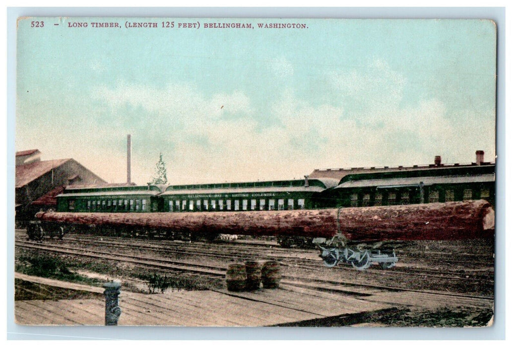 c1910's Long Timber Bellingham Washington WA Unposted Antique Postcard