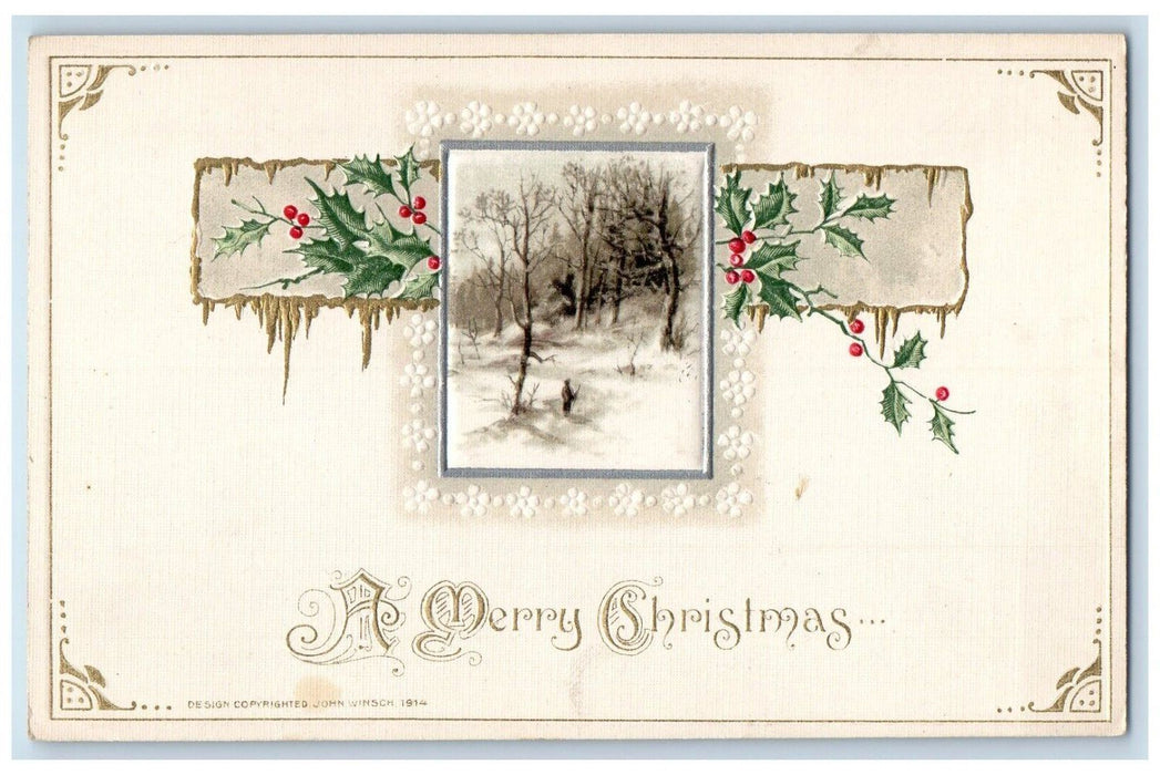 c1910's Christmas Snow Winter Holly Berries John Winsch Embossed Postcard