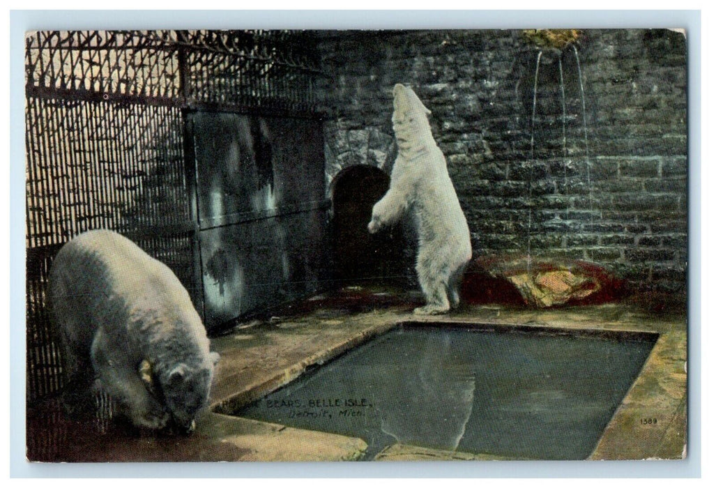 1909 Polar Bears Cage Belle Isle Detroit Michigan MI Vintage Antique Postcard