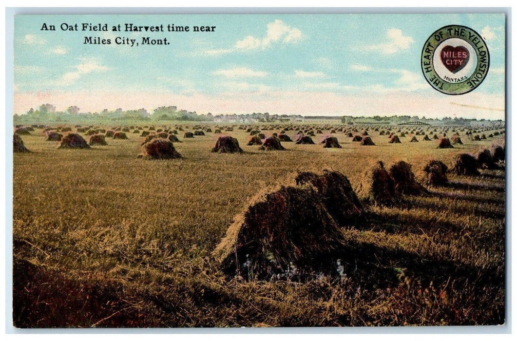 c1910 An Oat Field at Harvest Time Near Miles City Montana Unposted Postcard