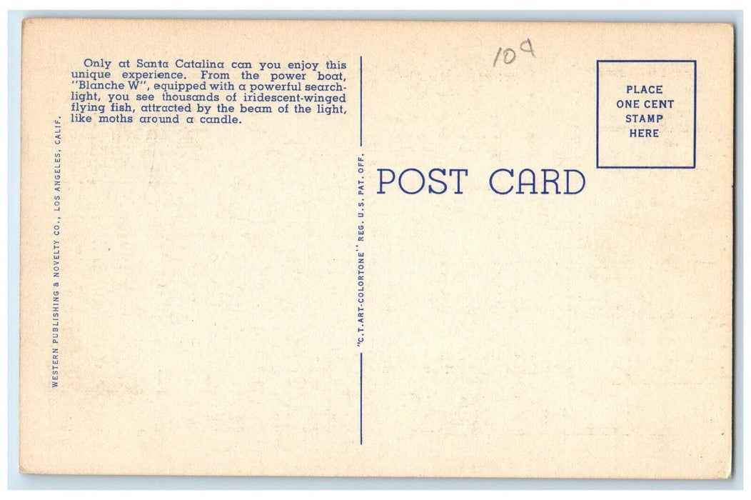 The Flying Fish Trip Str. Blanche W Santa Catalina CA, Moon View Postcard
