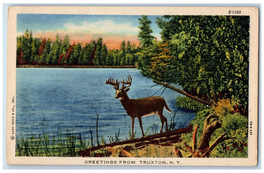 1959 Deer and River Scene, Greetings from Truxton New York NY Postcard