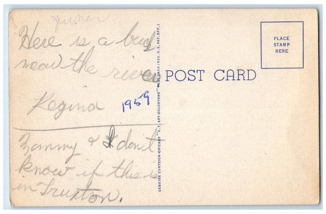 1959 Deer and River Scene, Greetings from Truxton New York NY Postcard