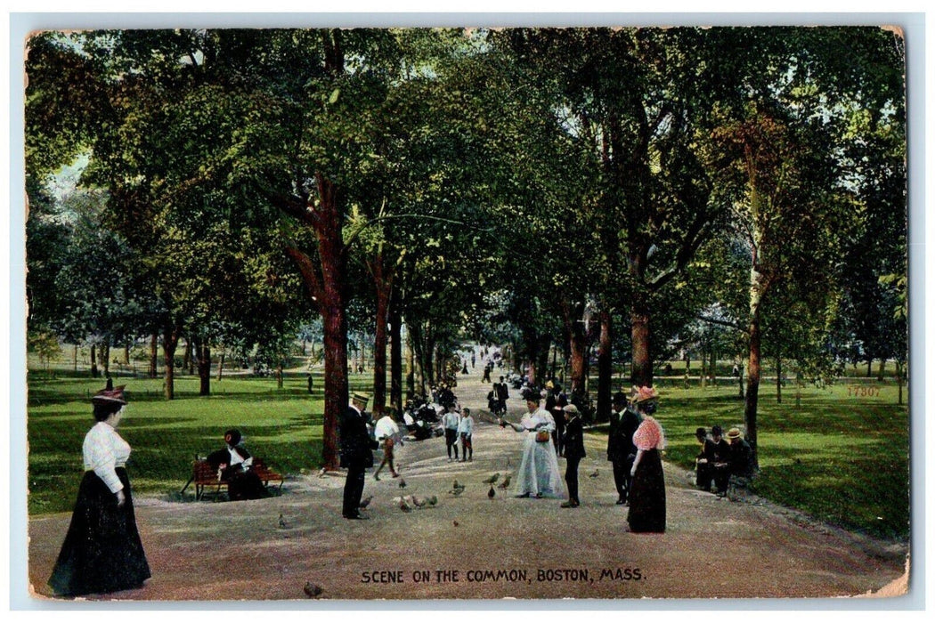 1909 Scene On The Common Boston Massachusetts MA Posted Antique Postcard