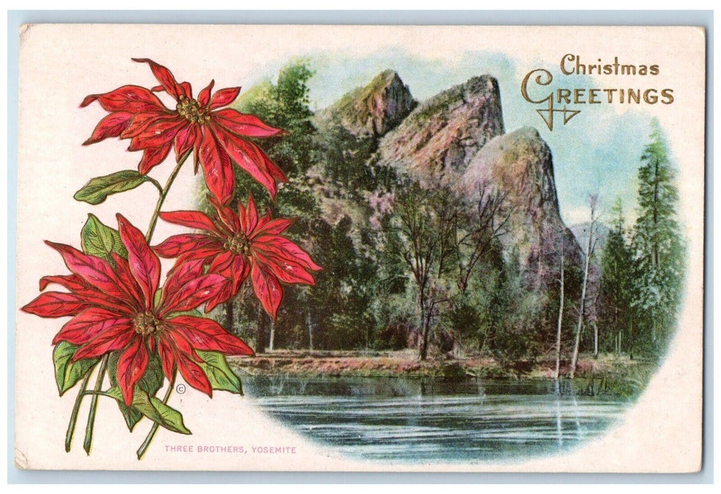 1937 Christmas Greetings Three Brothers Yosemite Poinsettia Flowers Postcard