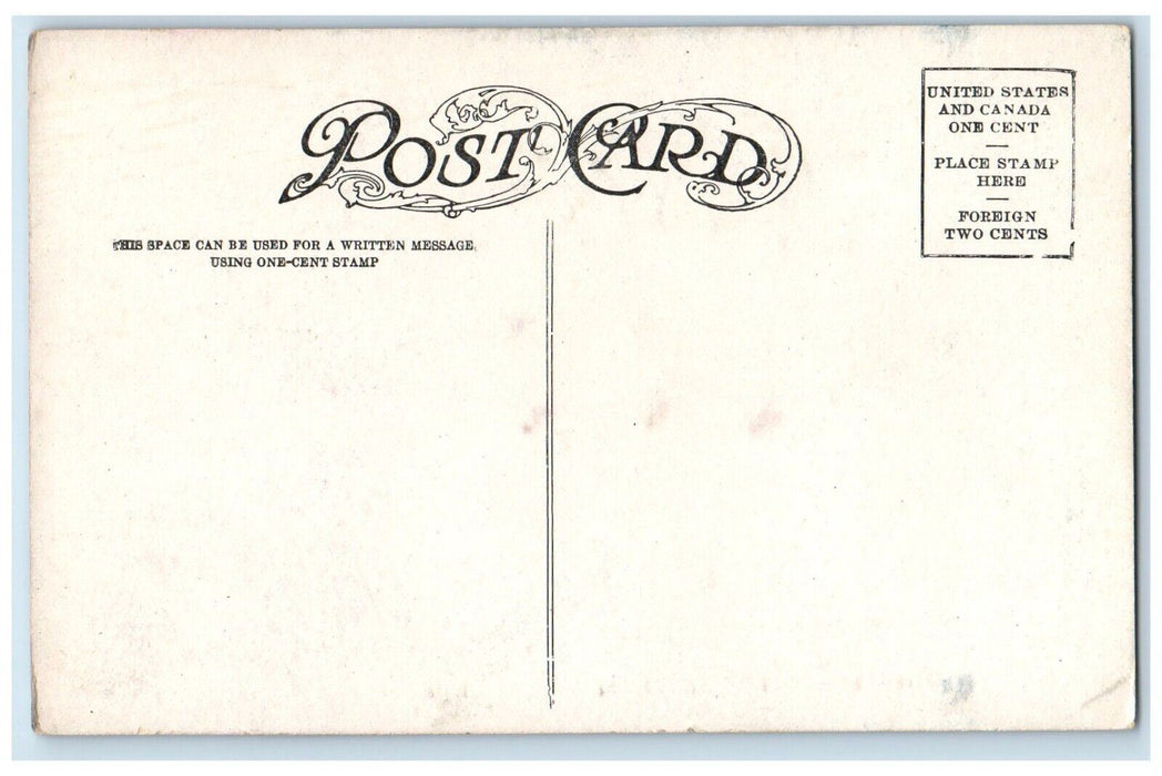 c1910's Hollow Horn Native American Sioux Indian Unposted Antique Postcard