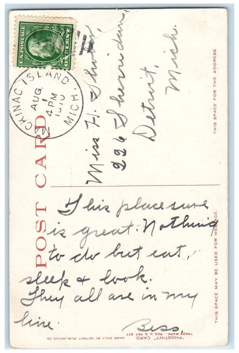 1910 New Mackinac And New Murray Hotels Mackinac Island MI Phostint Postcard