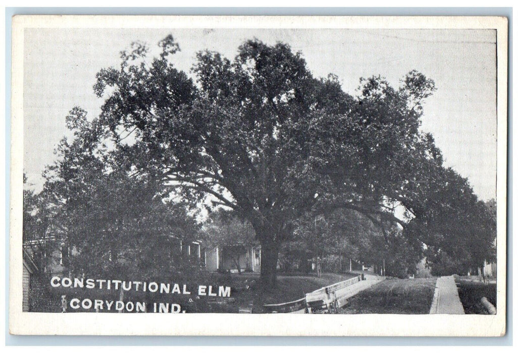 c1910's Construction Elm Giant Tree Corydon Indiana IN Unposted Antique Postcard