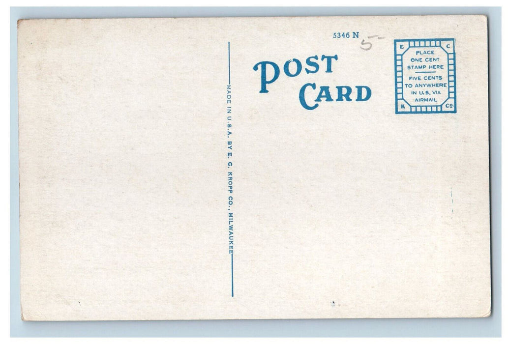c1920's Tall Trees, Library Park Centralia Illinois IL EC Kropp Co. Postcard