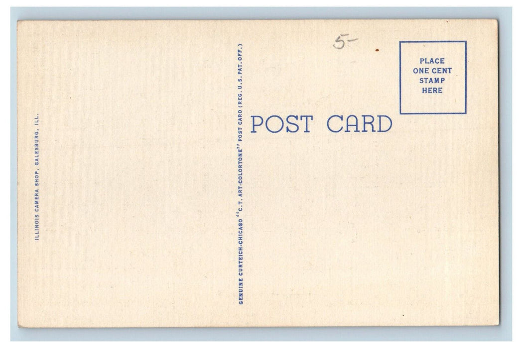 c1940's Flowers, US Flag, Street Lights Public Library Galesburg IL Postcard
