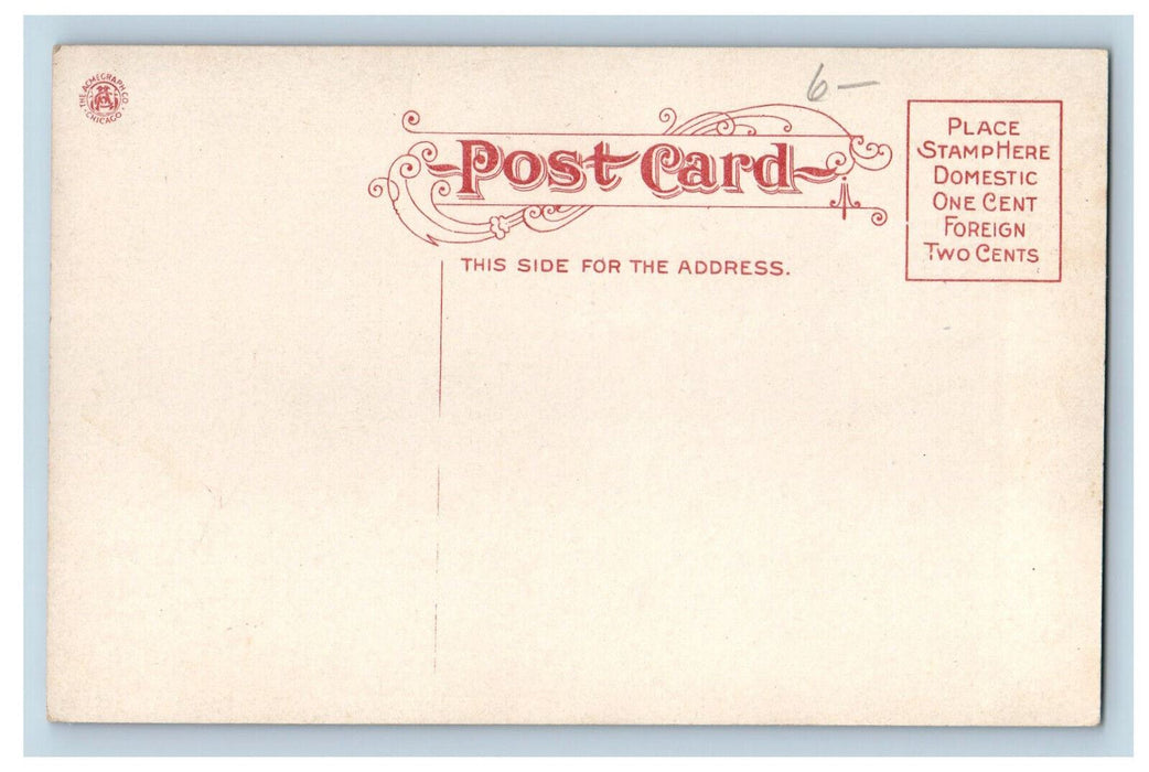 c1910 Entrance to Public Library Quincy Illinois IL Antique Unposted Postcard