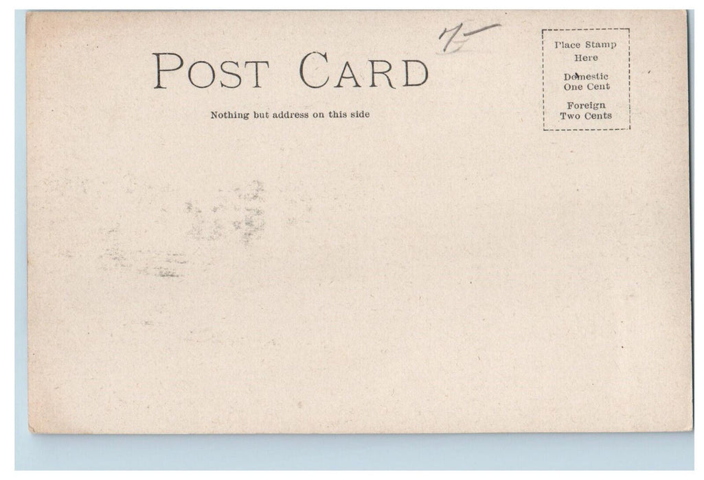 c1905 Withered Tree, Gail Borden Public Library Elgin IL Antique Postcard