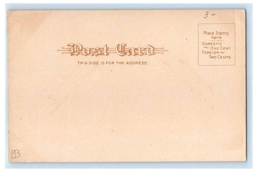 c1905 New York Avenue M. E. Church Street View Brooklyn NY Antique Postcard