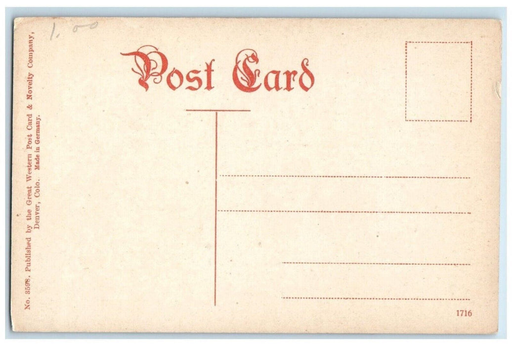 c1910's Peabody House Cliff Mesa Park Verde Denver Rio Grande Colorado Postcard
