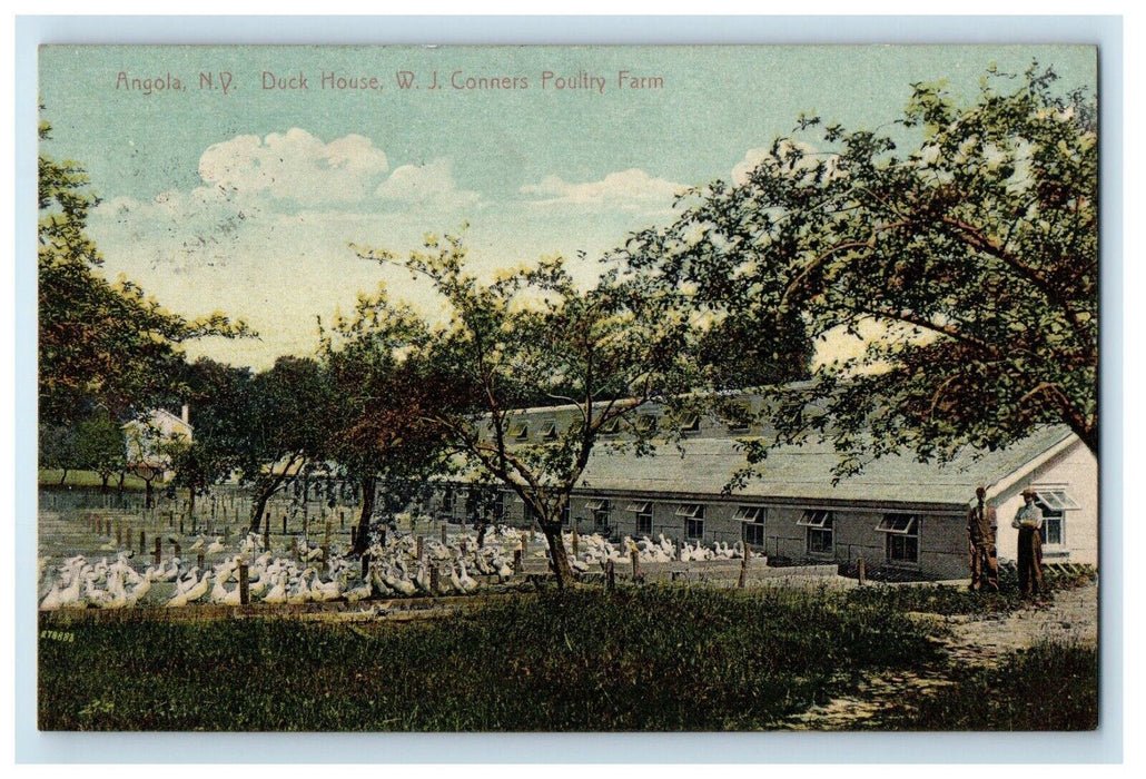 1911 Angola New York NY, Duck House W. J. Conners Poultry Farm Antique Postcard