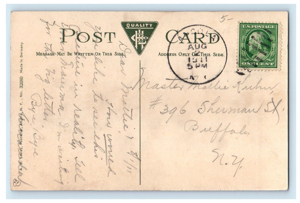 1911 Angola New York NY, Duck House W. J. Conners Poultry Farm Antique Postcard
