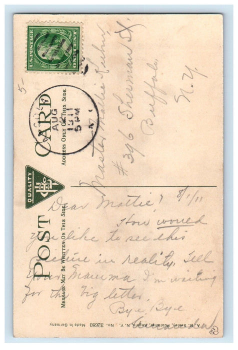 1911 Angola New York NY, Duck House W. J. Conners Poultry Farm Antique Postcard