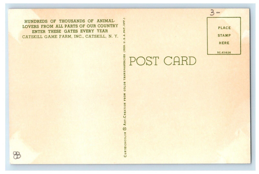 c1950's Catskill Game Farm Animals Entrance Catskill New York NY Postcard