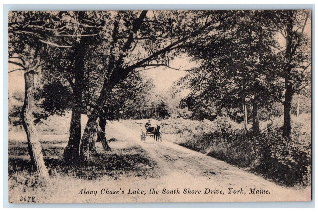 c1940's Horse Carriage, Chase's Lake South Shore Drive, York Maine ME Postcard