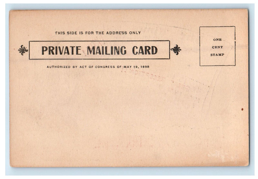 1906 Times Newspaper Los Angeles Extra Paperboy Maloney Humor Comic Postcard