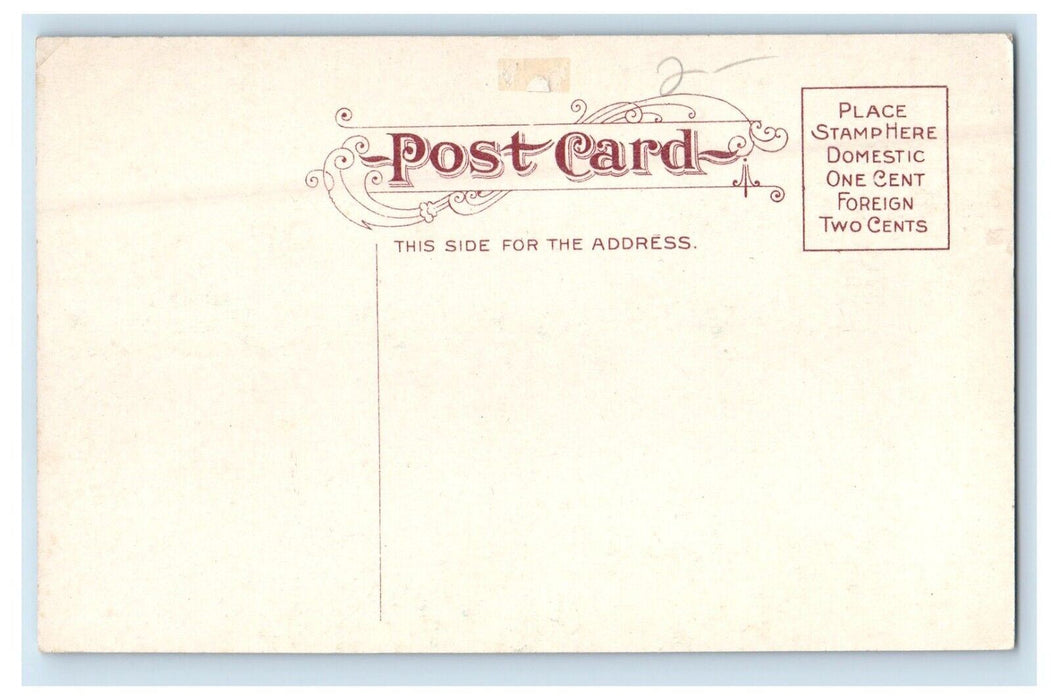 c1910's Twin Bridges And Building View Waterloo Iowa IA Antique Postcard