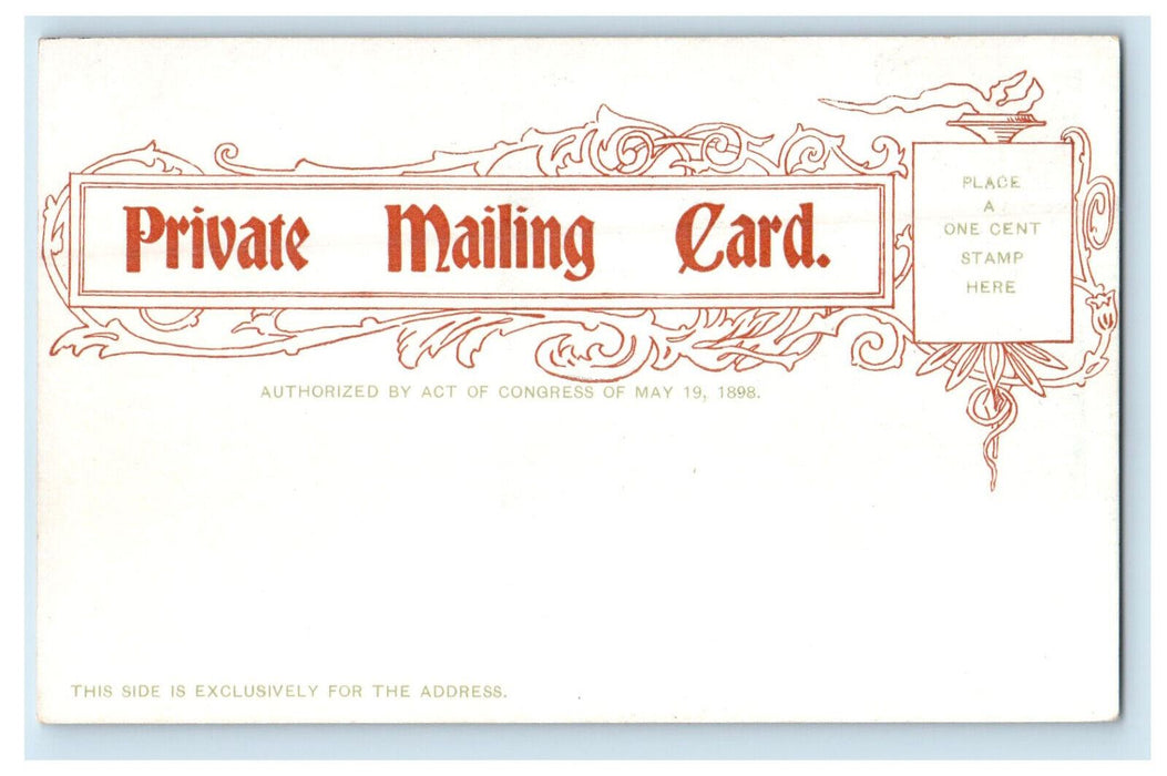 c1900s Avenue of Palms, Palm Beach Florida FL Unposted Antique PMC Postcard