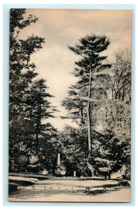 c1940's Sentinel Pines Battle Group Concord Massachusetts MA RPPC Photo Postcard