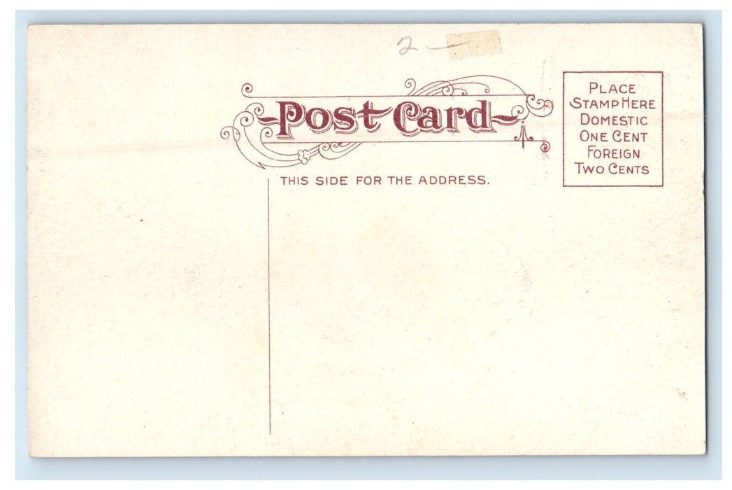 c1910's View Of Park Avenue East Waterloo Iowa IA Unposted Antique Postcard