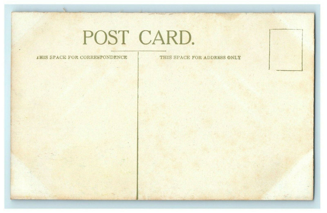 Bird's Eye View - Burlington Iowa c1910 Unused Antique Postcard