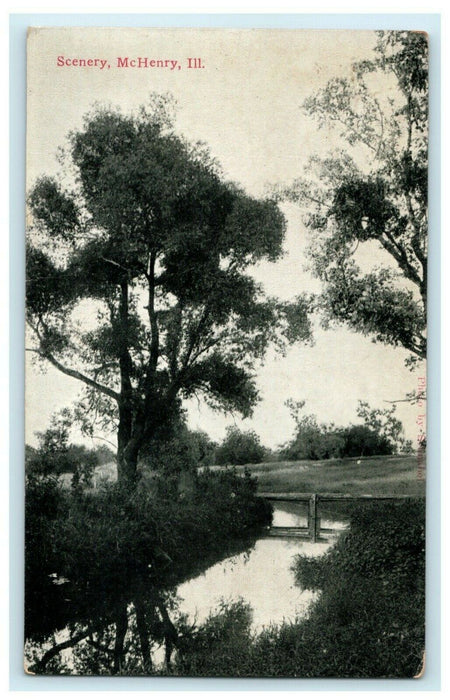 1911 Scenery McHenry Illinois IL Farmland Milking Cows Antique Postcard