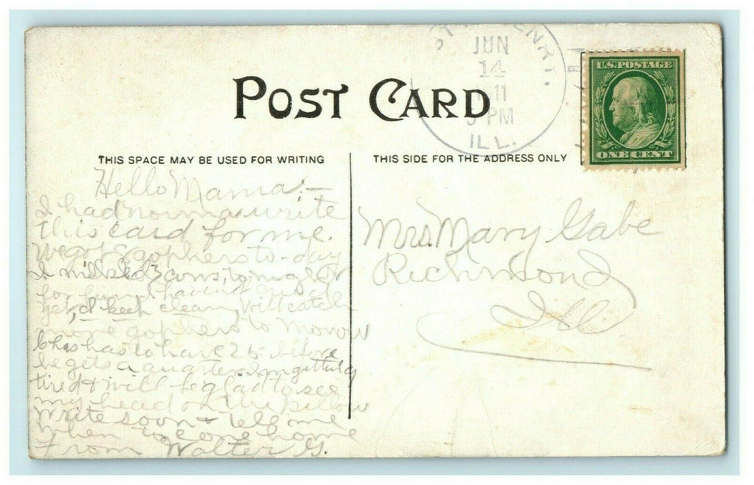 1911 Scenery McHenry Illinois IL Farmland Milking Cows Antique Postcard
