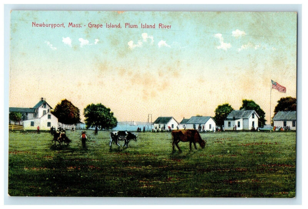 c1910 Grape Island Plum Island River, Newburyport, Massachusetts MA Postcard