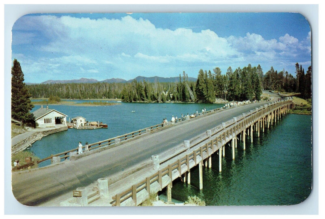 Yellowstone National Park Wyoming WY, Fishing Bridge Yellowstone River Postcard