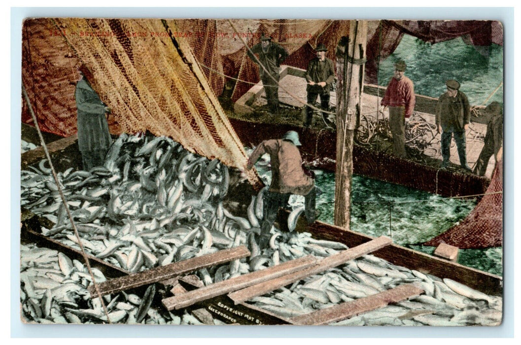 1912 Brailing Salmon From Trap Funter Bay Alaska AK Ship Workers Postcard