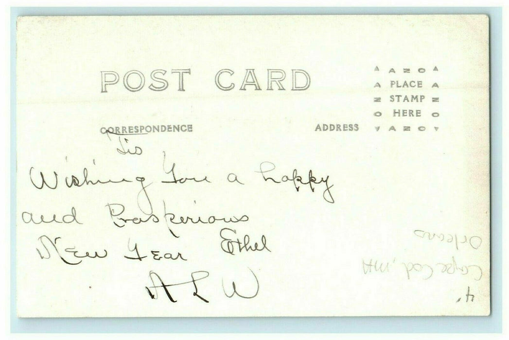c1910 Sea Gulls at Cape Cod, Orleans, Massachusetts MA RPPC Photo Postcard