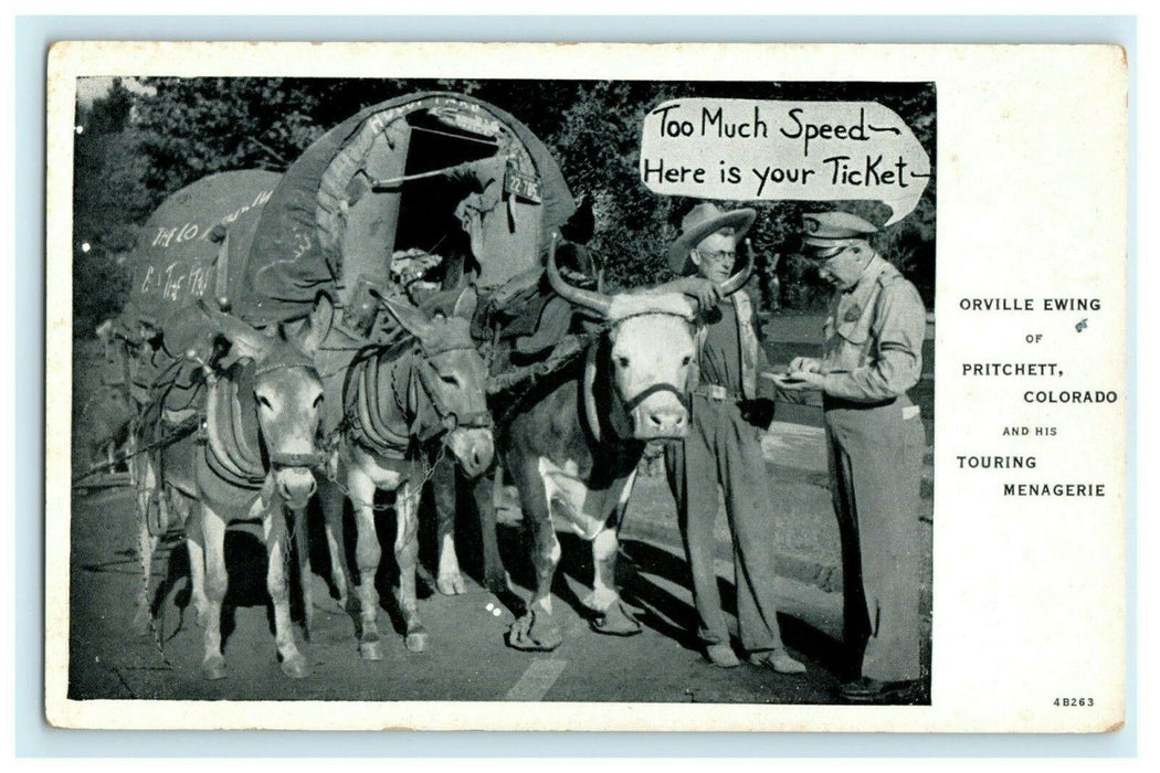 Humorous Post Card ~ Mule Drawn Wagon Gets A Speeding Ticket Pritchett CO