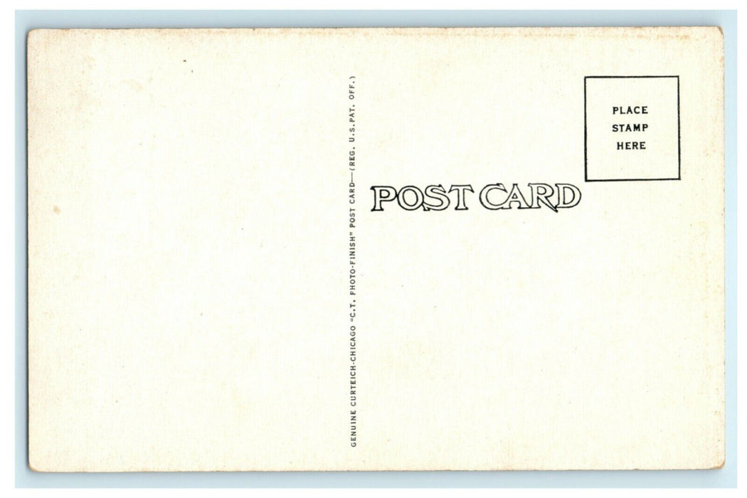 Humorous Post Card ~ Mule Drawn Wagon Gets A Speeding Ticket Pritchett CO