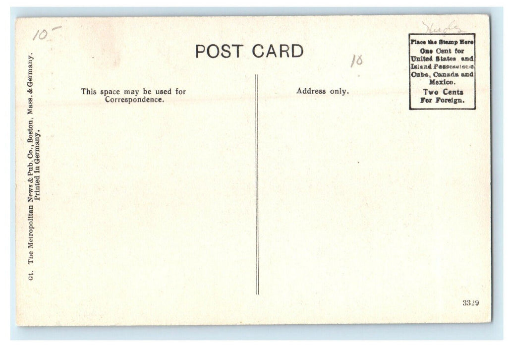 c1911 Trees in Union Chapel, Oak Bluffs Massachusetts MA Antique Postcard