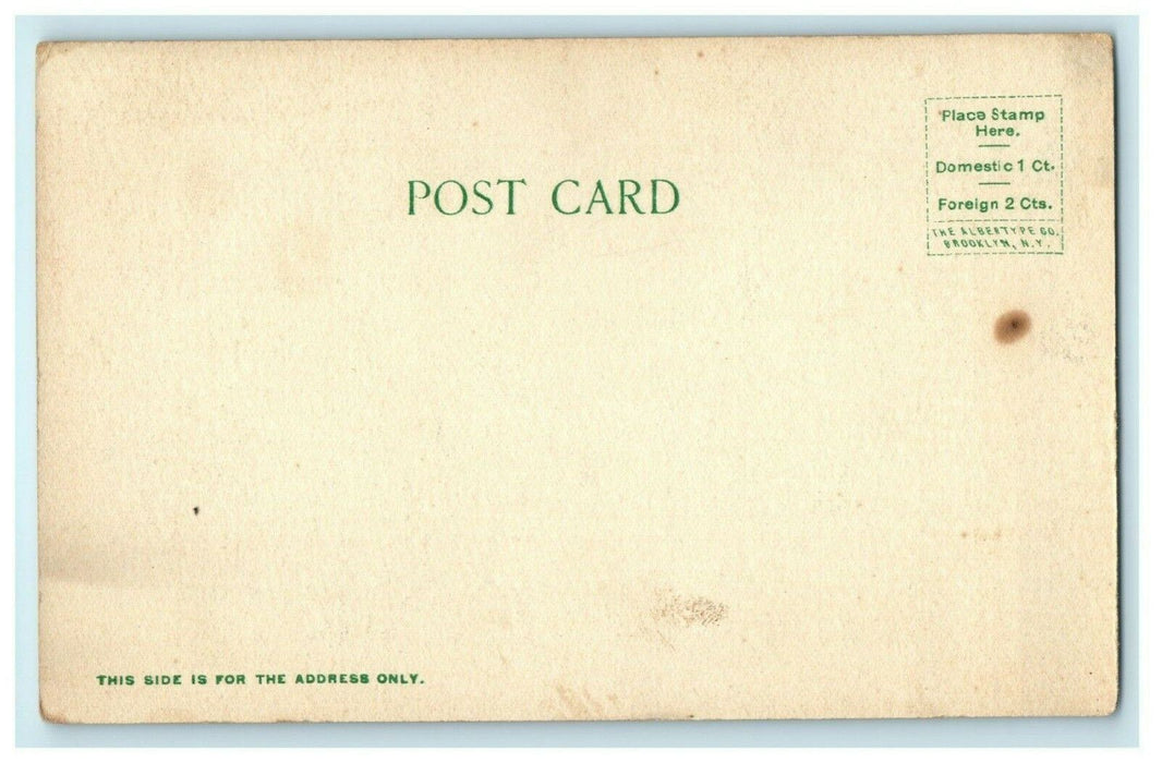 c1910 North Chicago St. High School Pontiac Illinois IL Antique Postcard