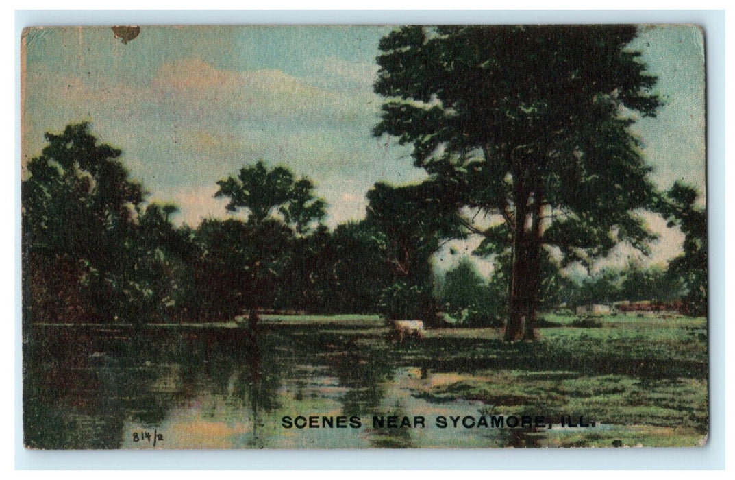 1915 Scenes Near Sycamore Illinois IL Antique Postcard