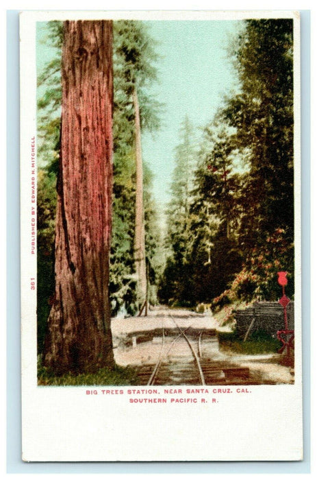 c1905 Big Trees Station Santa Cruz California Southern Pacific Railroad Postcard