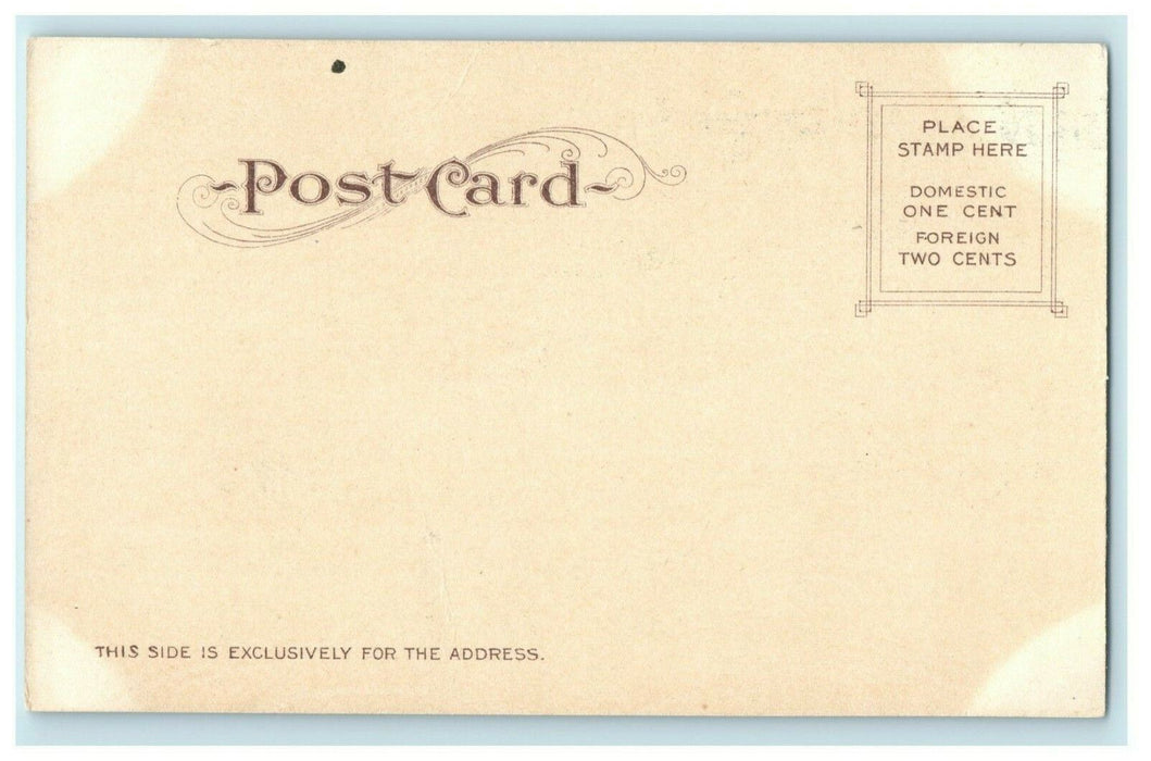 c1905 Big Trees Station Santa Cruz California Southern Pacific Railroad Postcard