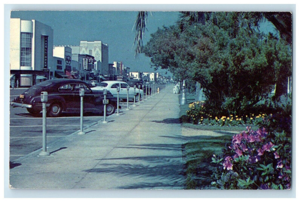 Daytona Beach Florida FL, Beach Street Showing River Front Park Cars Postcard