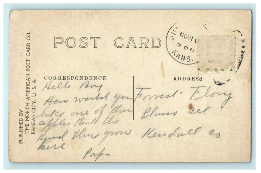 1909 Exaggeration Apple Cart Kansas City Missouri MO Posted Postcard
