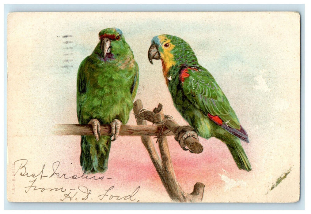 1903 Two Green Parrots in Wood Stand PMC Antique Posted Postcard